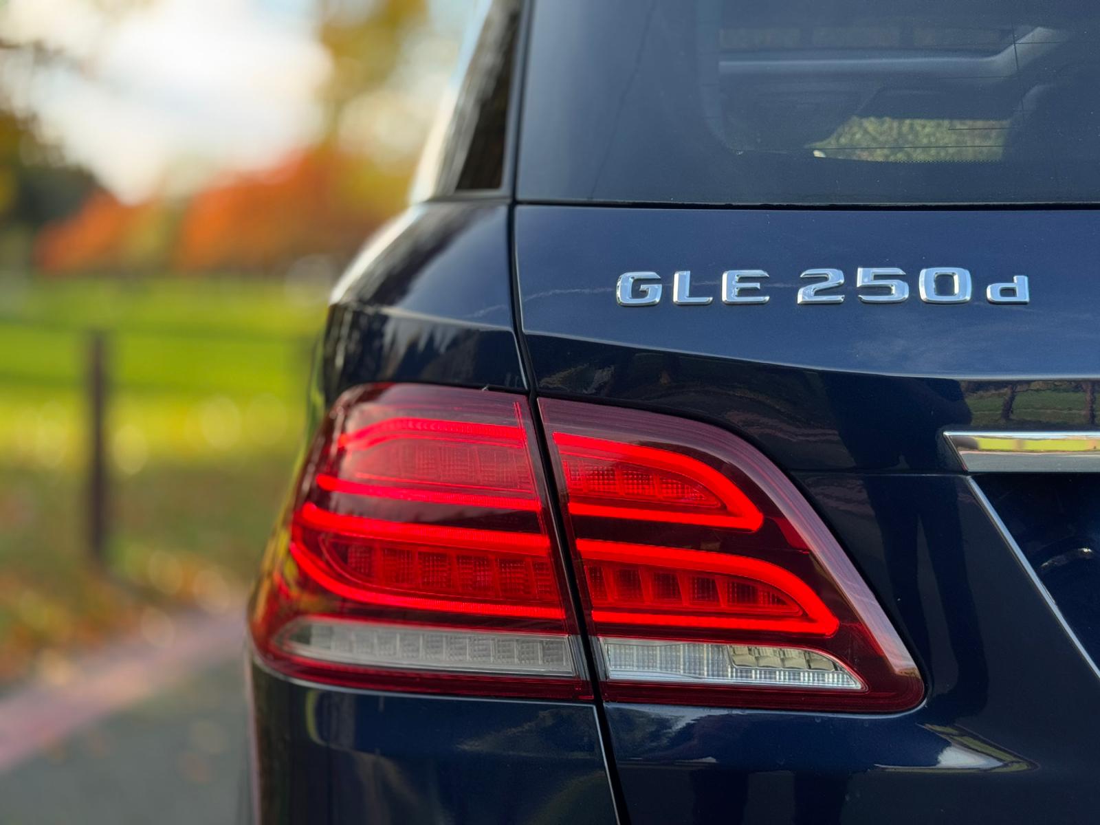 MERCEDES-BENZ GLE 250 D 4M AMG LINE PREM A