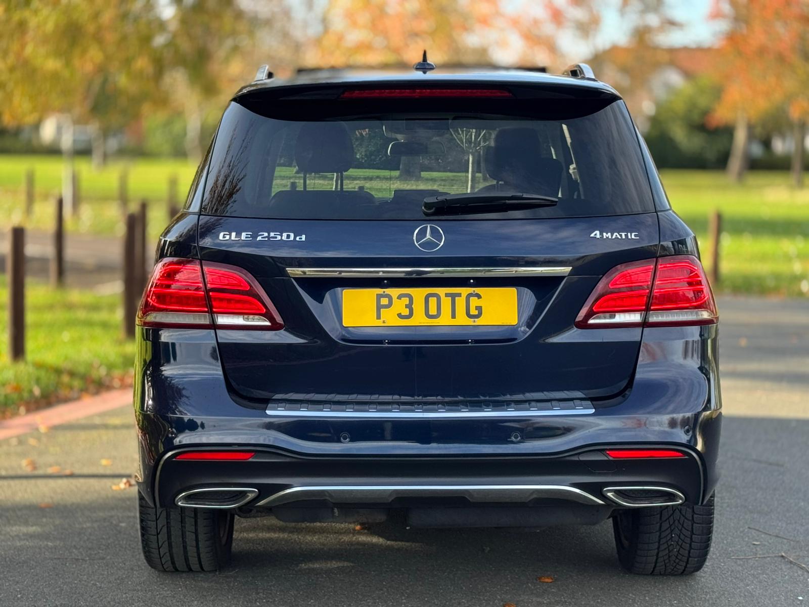 MERCEDES-BENZ GLE 250 D 4M AMG LINE PREM A